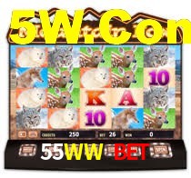 Crash Games Statistics 55WW Bet